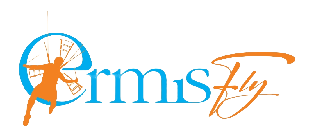 ermis fly logo trans